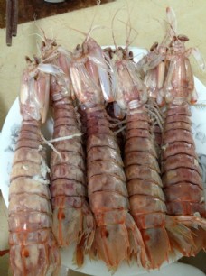 海鲜 濑尿虾