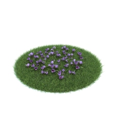草坪小花朵