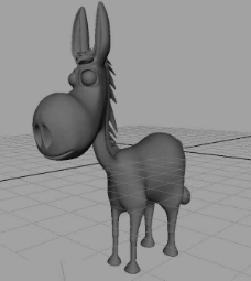 小驴模型
