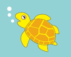 海洋生物可爱乌龟