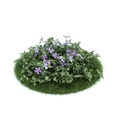 草坪植物模型