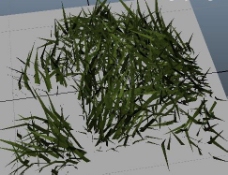 3D植物模型免费下载