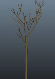3D树木模型