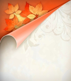 黄色背景秋季枫叶背景图片