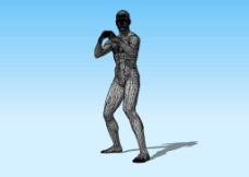 人体模型男人体3D模型图片