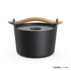 汤桶模型