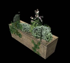 3d植物模型模板下载