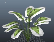 3d绿色植物模型