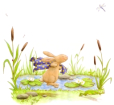 小兔子卡通插画图片